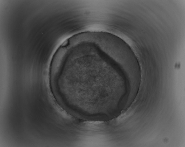 X0000103950864200809261747