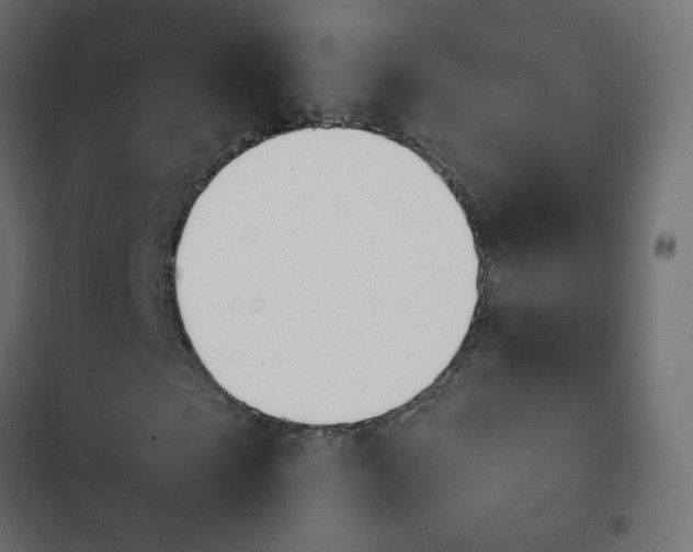 X0000103950865200809261746