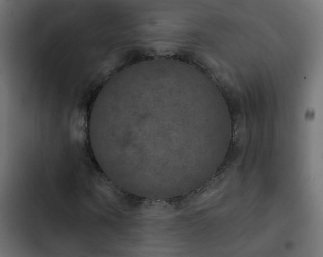 X0000103950866200809261746