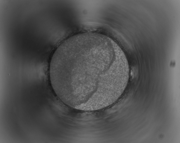 X0000103950867200809261746