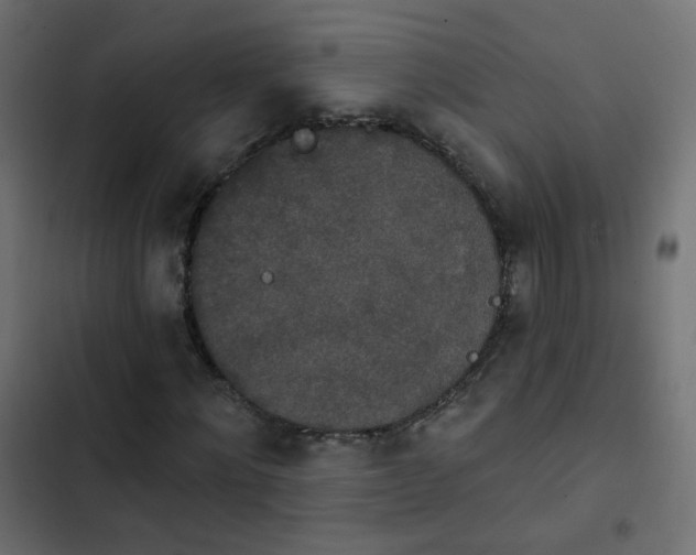 X0000103950868200809261746