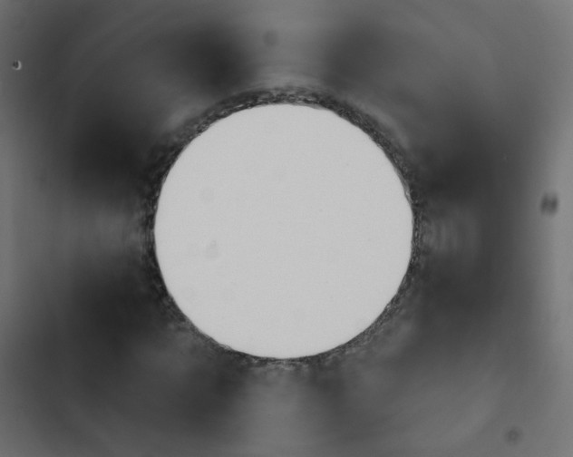 X0000103950869200809261746