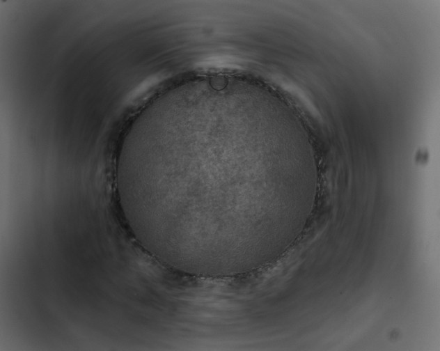 X0000103950870200809261746