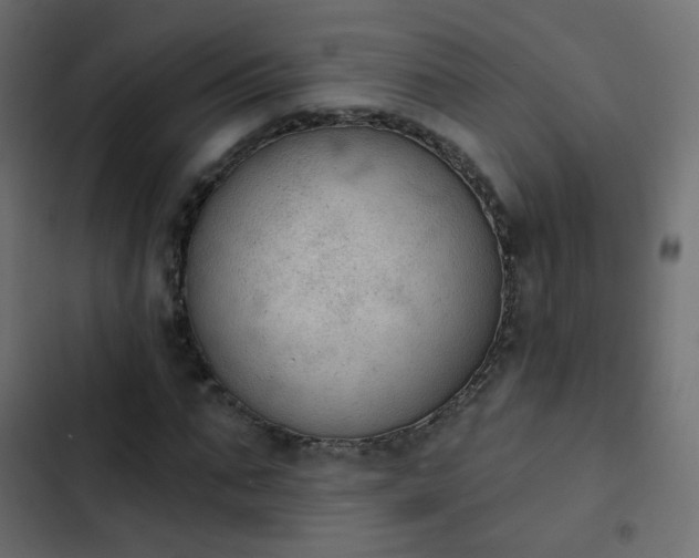 X0000103950871200809261746