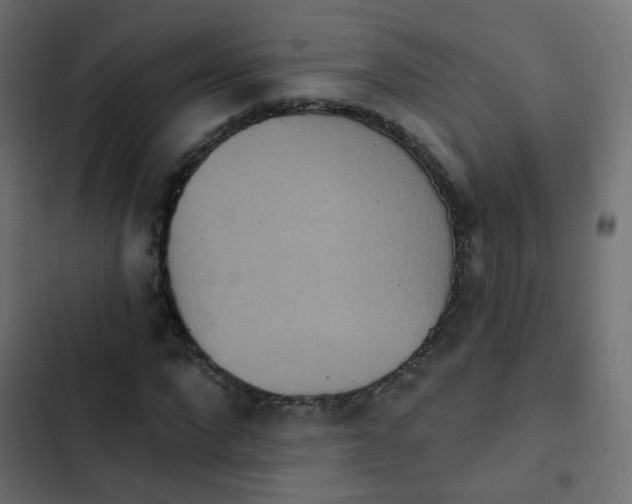 X0000103950872200809261746