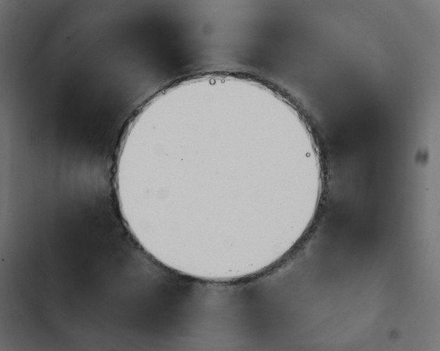 X0000103950873200809261746