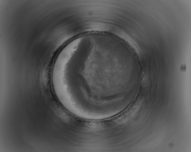 X0000103950874200809261746