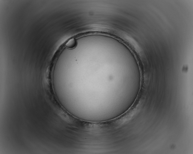 X0000103950875200809261746