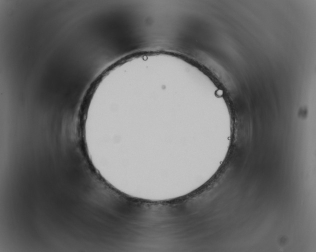 X0000103950876200809261746