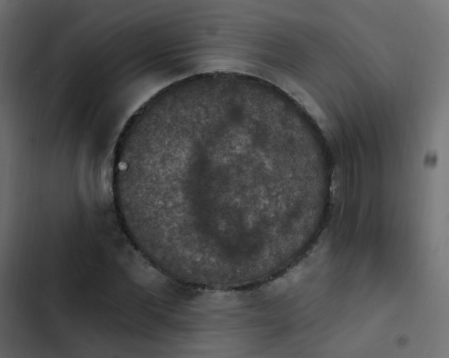 X0000103950877200809261746