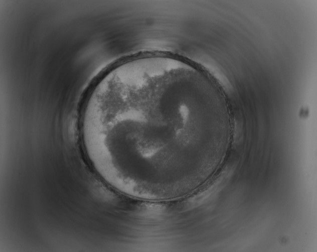 X0000103950878200809261746