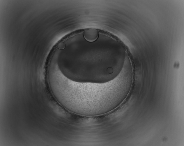 X0000103950879200809261746