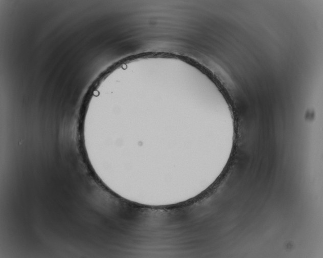 X0000103950880200809261746