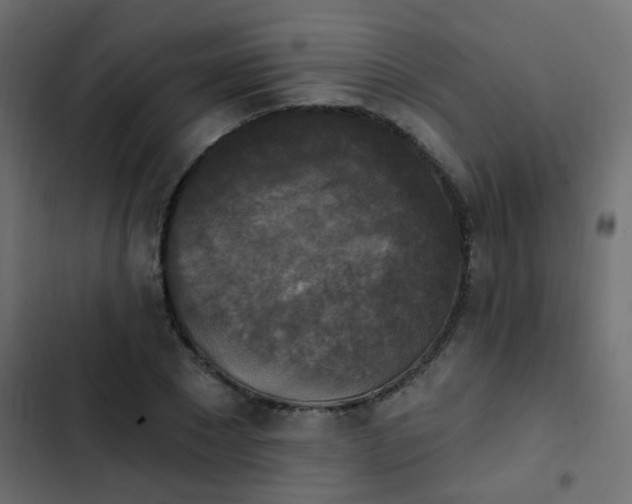 X0000103950881200809261746