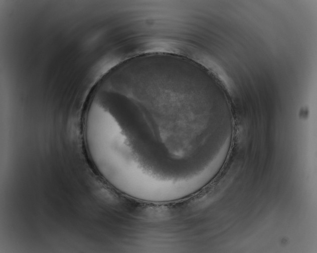 X0000103950882200809261746