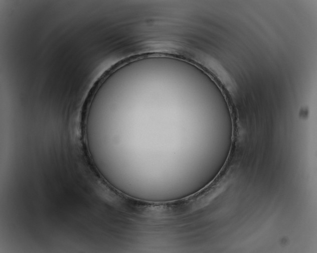 X0000103950883200809261746