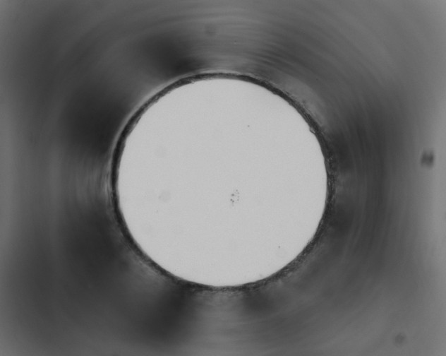 X0000103950884200809261746