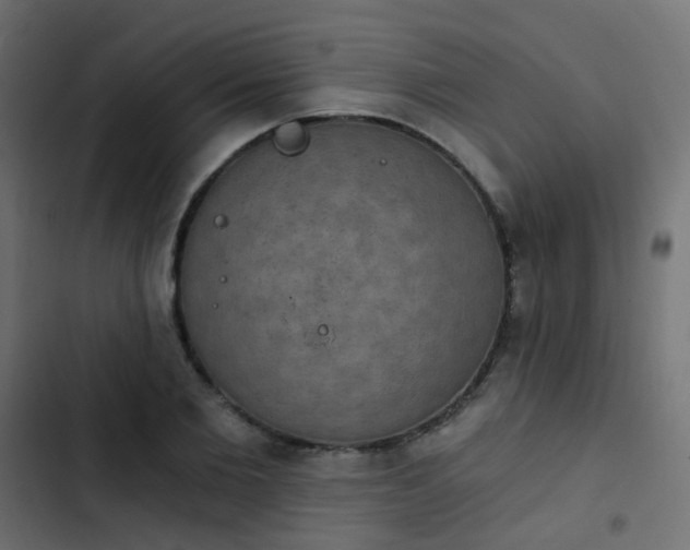 X0000103950885200809261746