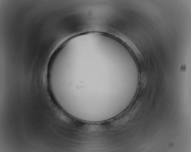 X0000103950886200809261746