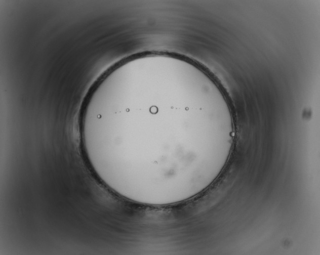 X0000103950887200809261746