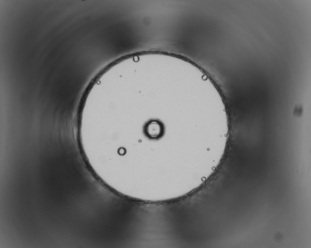 X0000103950888200809261746