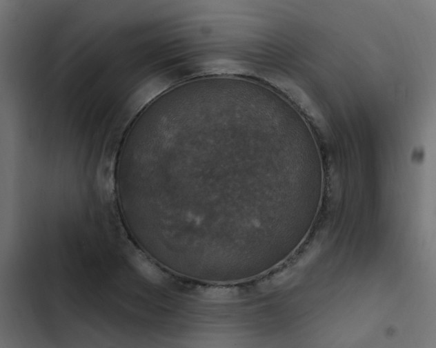 X0000103950889200809261746