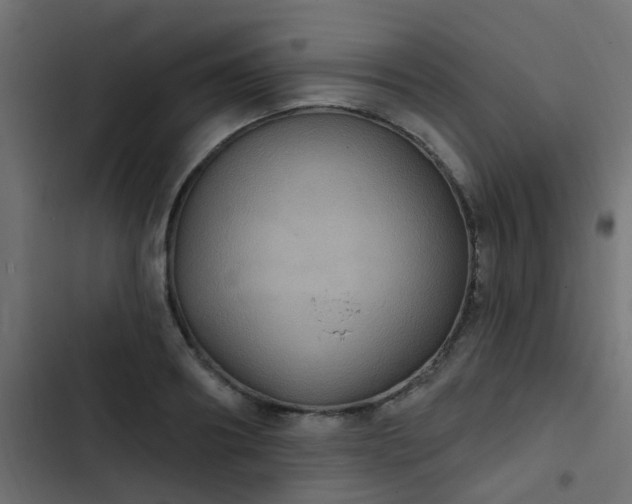 X0000103950890200809261746