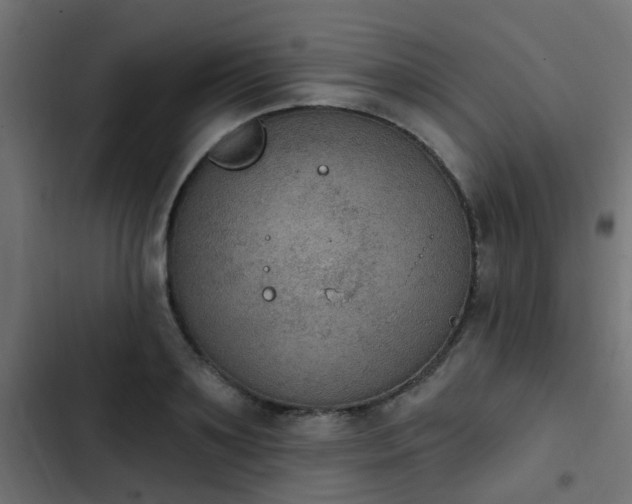 X0000103950891200809261746