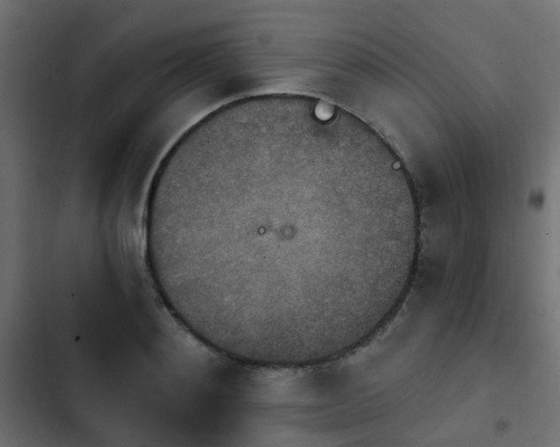 X0000103950892200809261746