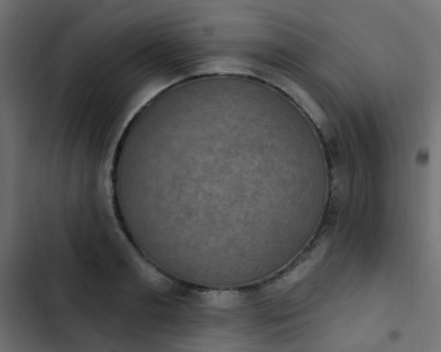 X0000103950893200809261746