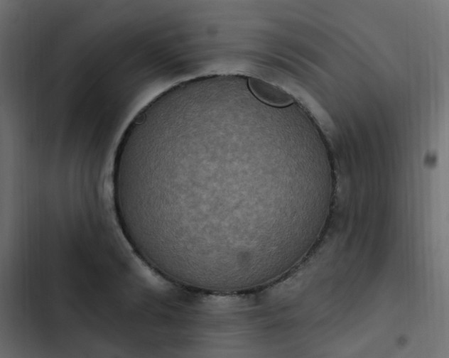 X0000103950894200809261746