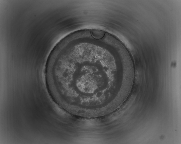 X0000103950895200809261746