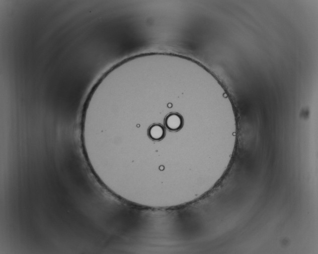 X0000103950896200809261746