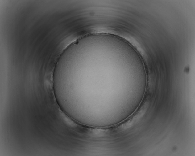 X0000103950897200809261746