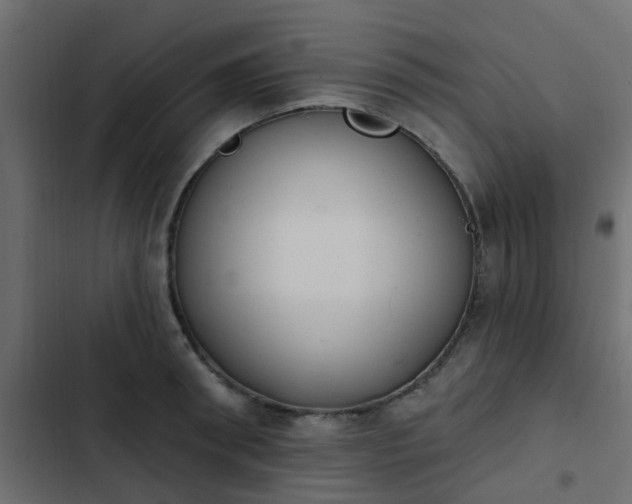 X0000103950898200809261746