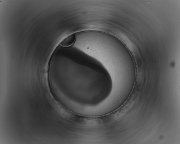 X0000103950899200809261746