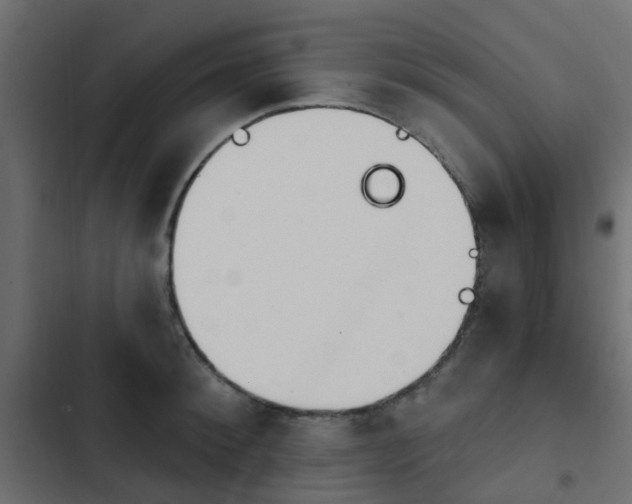 X0000103950900200809261746