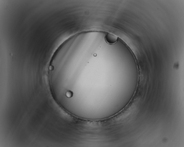 X0000103950901200809261746