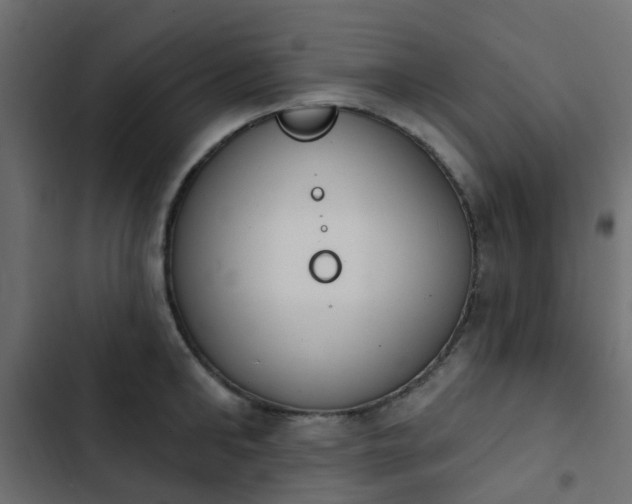 X0000103950902200809261746