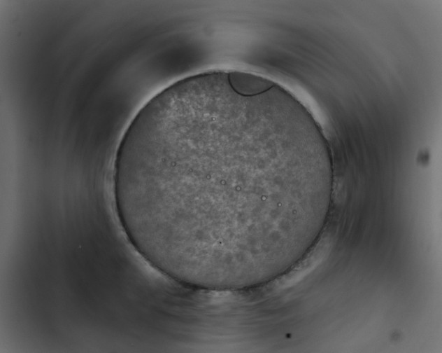 X0000103950903200809261746