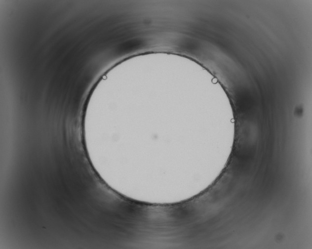 X0000103950904200809261746