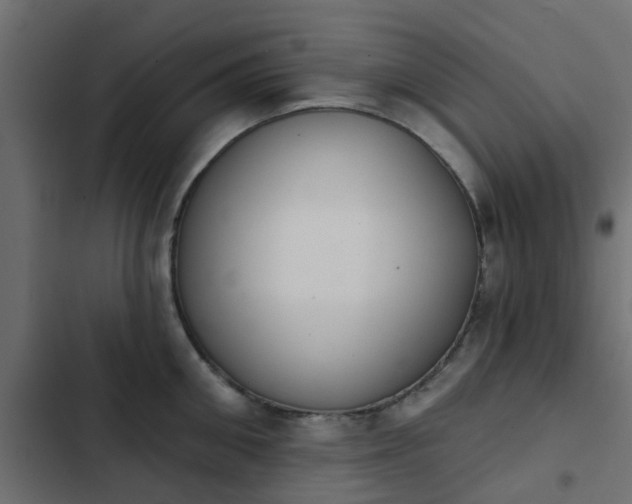 X0000103950906200809261746