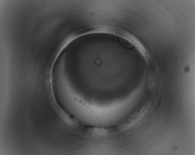 X0000103950907200809261746