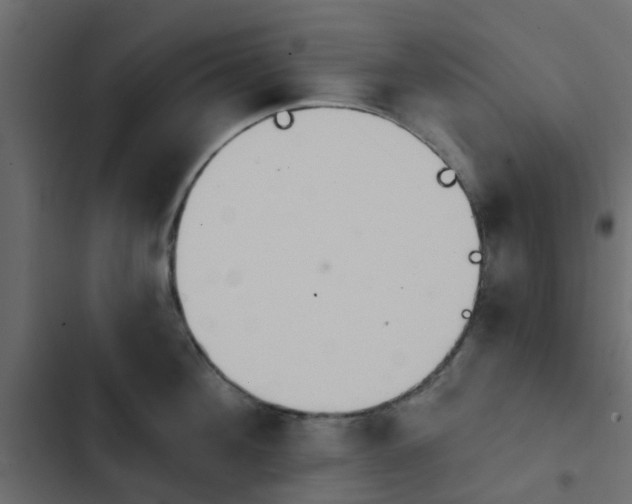 X0000103950908200809261746