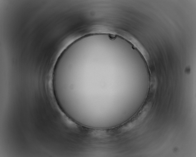 X0000103950909200809261746