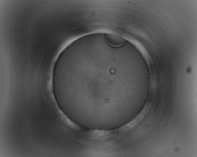 X0000103950910200809261746