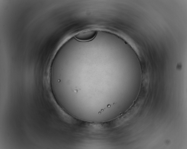 X0000103950911200809261746