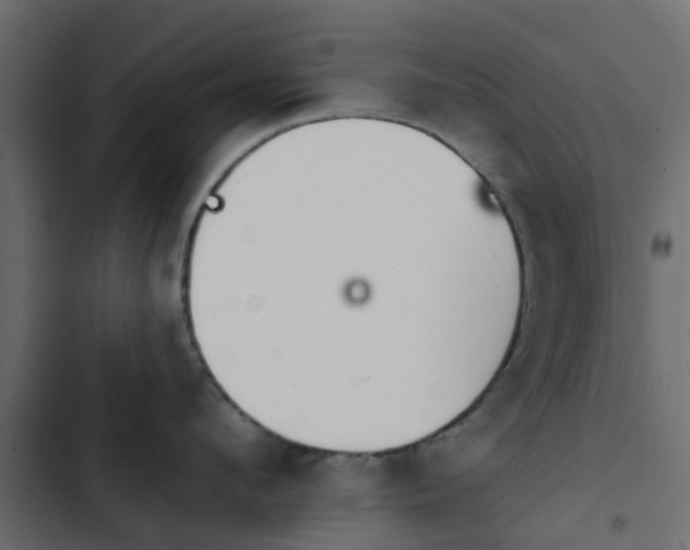 X0000103950912200809261746