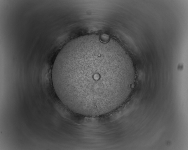 X0000103950914200809261745