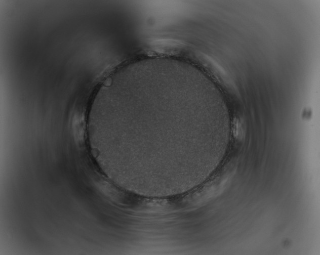 X0000103950915200809261745